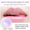 Lip sleeping mask - moisturizing - exfoliating - anti-drying - repair balmLipsticks