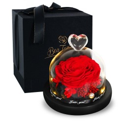 Día de San ValentínRosa eterna conservada - caja de vidrio con luz - Día de San Valentín / regalo de boda