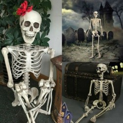 Fiesta & HalloweenHuman skeleton - Halloween decoration - 40cm