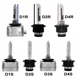 XenonCar headlight - Xenon HID bulb - D1R / D1S / D2S / D3S / D4S / D4R / D2R - 12V / 35W - 2 pieces