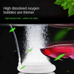 AcuarioAquarium nano bubble tray - oxygen / air bubble pump