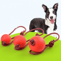 Rubber training ball for dogs - teeth cleaning - with a ropeToys