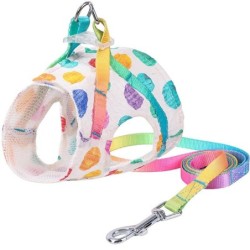 Collares & CorreasDog harness with leash / buckle - rainbow dots