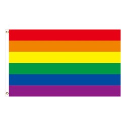 PegatinasPancarta colgante - bandera - LGBT / transgénero / pansexual / progreso / ORGULLO / arco iris