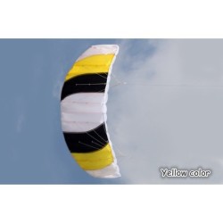 Colorful sports beach kite - 1.4m dual lineKites