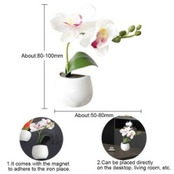 Imanes de neveraImanes decorativos para nevera - decoración de mesa / escritorio - cactus - orquídea
