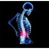 Salud & BellezaFaja ortopédica de soporte de espalda - corrección de postura - corrector de espalda con imanes