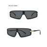 Cat eye sunglasses - oversized - one piece flat top - UV400 - unisexSunglasses