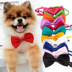 Collares & correasPajarita decorativa - collar - para perros / gatos - correa ajustable