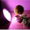 Luces de cultivoLuz de crecimiento de plantas - lámpara LED - espectro completo - E27 - 220V - 36W