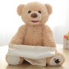 Peekaboo bear - talking plush toyCuddly toys