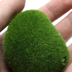 DecoracionesAcuario mini bola de musgo - nano planta decorativa
