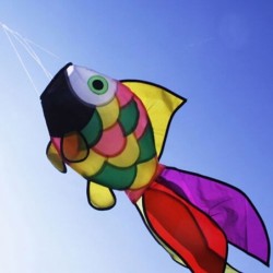 Rainbow fish - kiteKites
