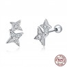 Double crystal stars - silver earringsEarrings
