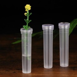 JardínTubos de plástico transparente - mini porta flores - contenedor de agua - 50 piezas