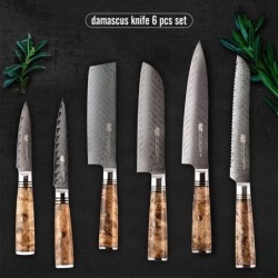 Damascus knife set - sharp blade - wooden handle - magnetic holder - 6 piecesSteel