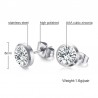 Classic small earrings - with a round white crystalEarrings