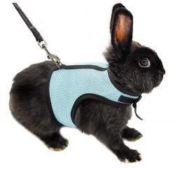 Animales & mascotasHamster Rabbit Harness & Leash Set