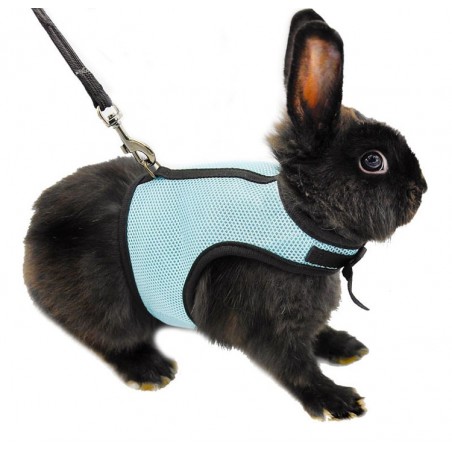 Hamster Rabbit Harness & Leash SetAnimals & Pets